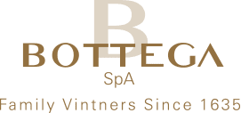 Bottega_spa_logo-new-ok-2